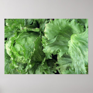 Poster Salade "Iceberg" délicieuse