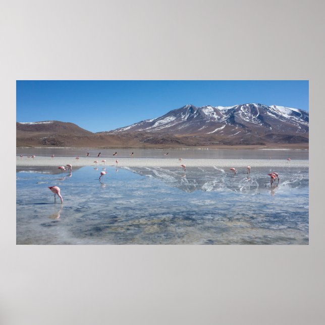 POSTER SALAR DE UYUNI SALT PLAT, BOLIVIE (Devant)