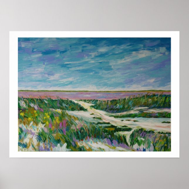 Poster saline de Camargue (Devant)