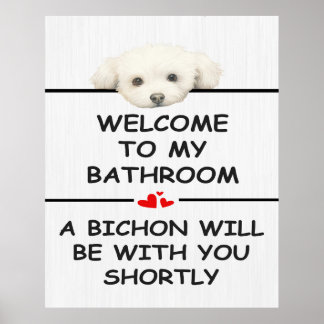 Poster Salle de bain Bichon frisé