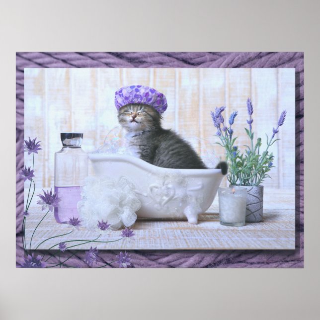 Poster Salle de bain Chat dans un bain (Devant)