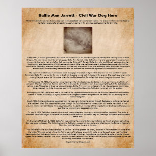 Poster Sallie Ann Jarrett, héros du chien de guerre civil