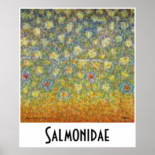 Poster Salmonidae Skins Montage Postage