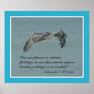 Poster Salmos 91:4 con Pelicano Volando (Cartel)