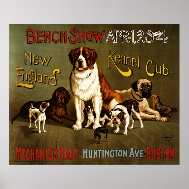 Poster Salon de banc Kennel Club en Nouvelle-Angleterre (Devant)