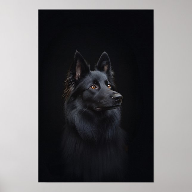 Poster Salon pour animaux domestiques Belge Sheep Portrai (Devant)