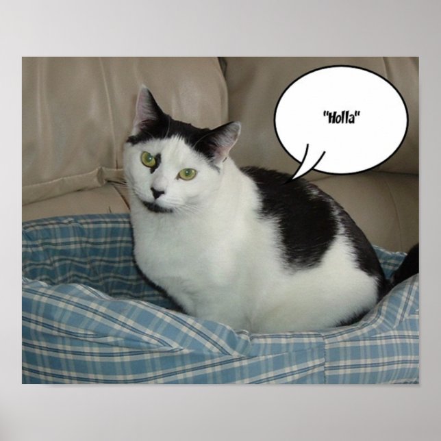 Poster Salut!/Bonjour (Devant)