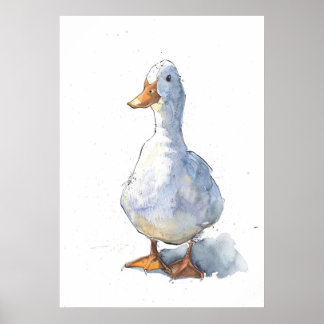 Poster Salut White Duck