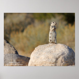 Poster Salutations amicales