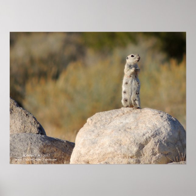 Poster Salutations amicales (Devant)