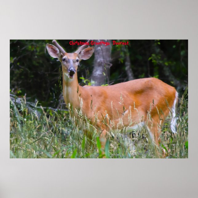 Poster Salutations de Noël (Devant)