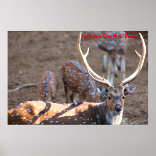 Poster Salutations de Noël