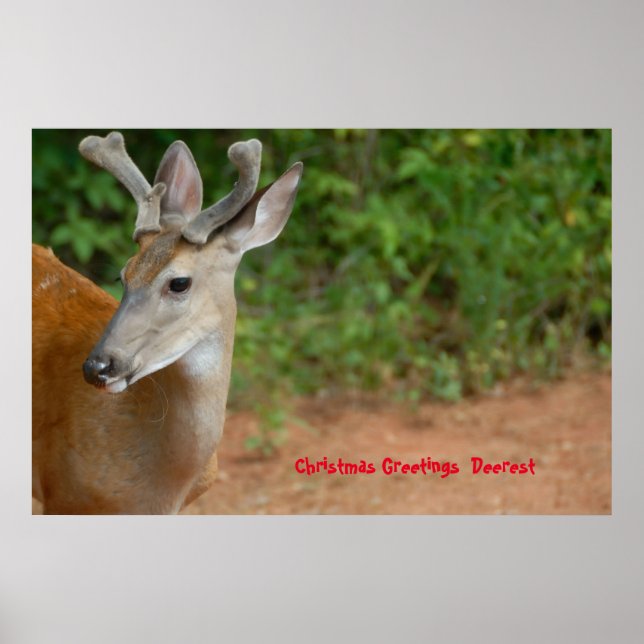 Poster Salutations de Noël (Devant)