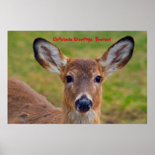 Poster Salutations de Noël