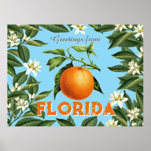 Poster Salutations Rétro Vintage de Floride Orange Fruit