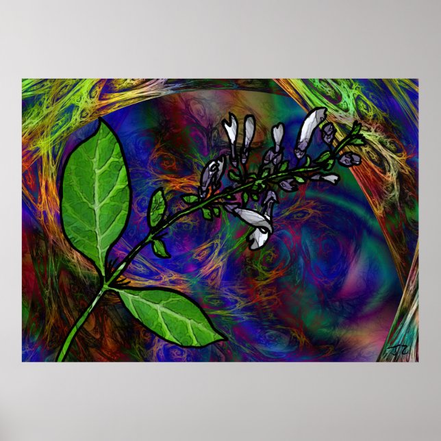 Poster Salvia Divinorum (Devant)