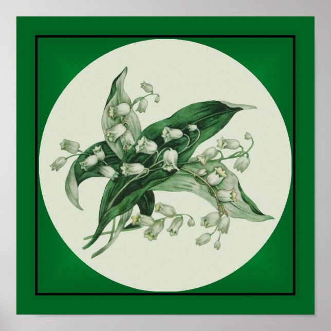 Poster Samantha Lily 1 (Devant)