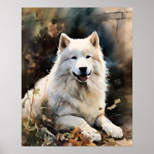 Poster Samoyed Dog Art Print