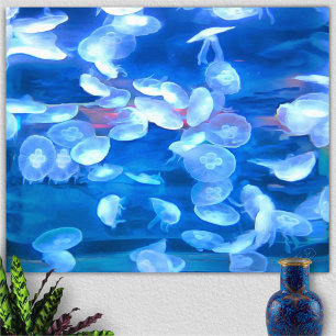 Poster San Francisco Aquarium Jellyfish 0925 Art Print