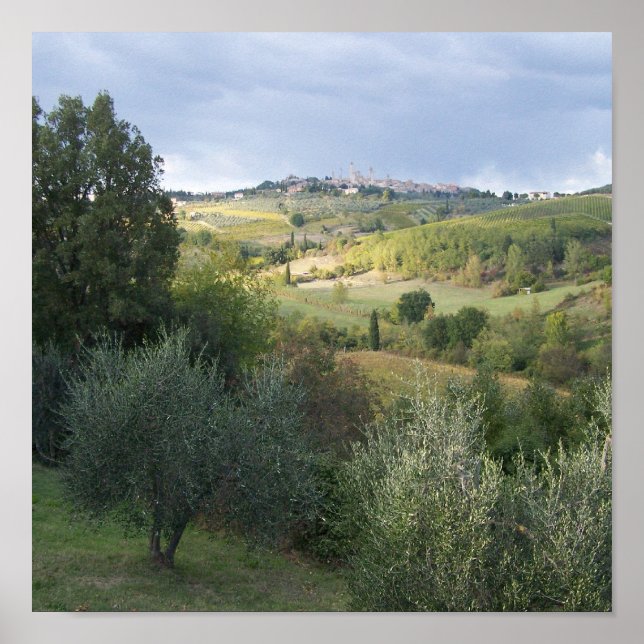 Poster San_Gimgnanofield (Devant)