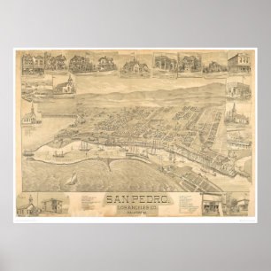 Poster San Pedro, carte panoramique 1895 (1319A) de CA