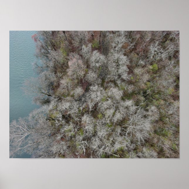 Poster Sanatoga Woods Schuylkill River PA (Devant)