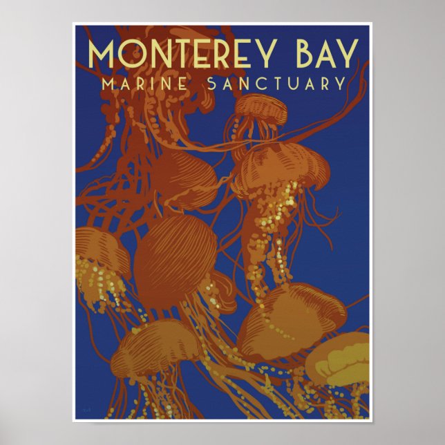 Poster Sanctuaire marin de la baie de Monterey; méduses (Devant)