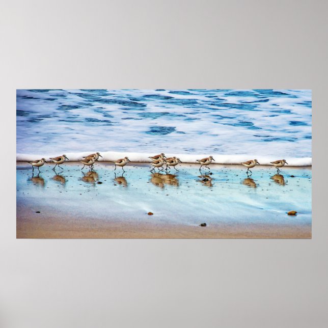 Poster Sanders Longeant La Plage (Devant)
