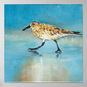 Poster Sandpiper Art de l'Amérique du Nord