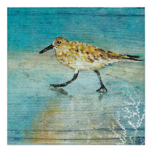 Poster Sandpiper Beach Shorbird Art Patiné Imprimer