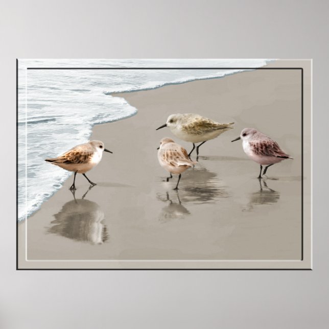 Poster Sandpipers au bord du rivage (Devant)