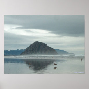 poster - Sandpipers sur Morro Bay