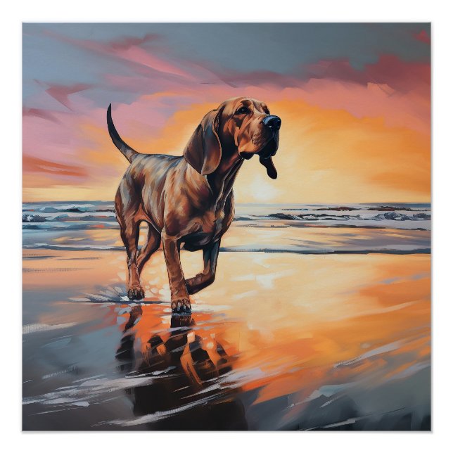 Poster Sandy Paws Bloodhound Dog on Beach Sunset (Devant)