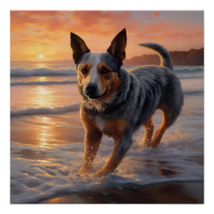 Poster Sandy Paws chien de bétail australien sur la plage