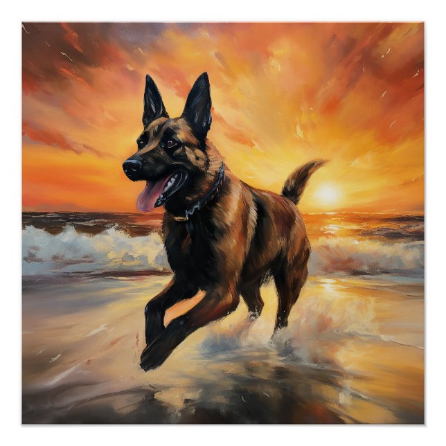 Poster Sandy Paws Chien Malinois Belge sur le coucher du  (Devant)
