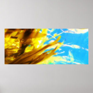 Poster Sans titre