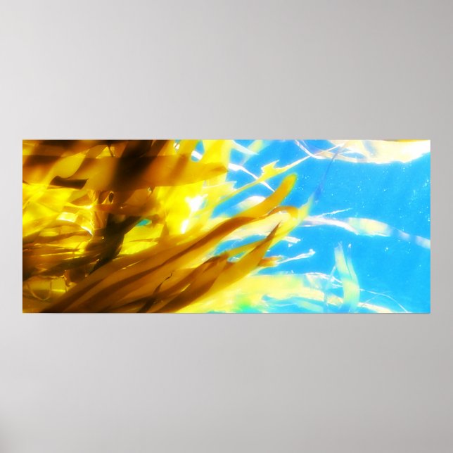 Poster Sans titre (Devant)