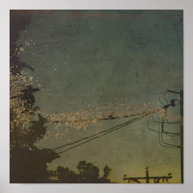 Poster Sans titre (Devant)