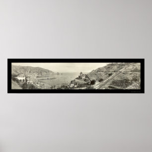 Poster Santa Catalina Island Photo 1914