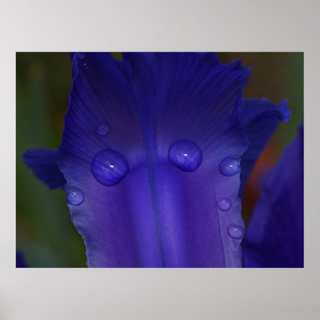 Poster Sapphire Serenity  (Devant)