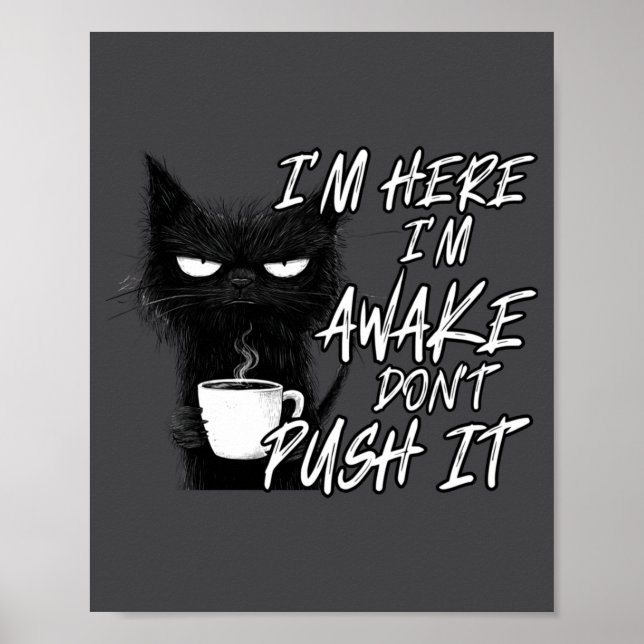 Poster Sarcastic Cat Funny Cat I'm Here I'm Awake Don't P (Devant)