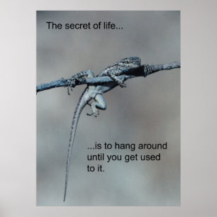 Poster Sarcastique Lizard Secret de vie