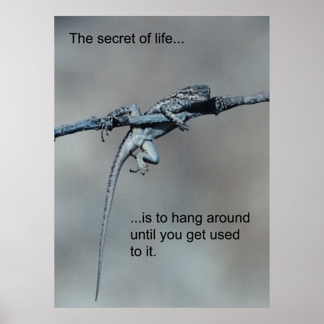 Poster Sarcastique Lizard Secret de vie (Devant)