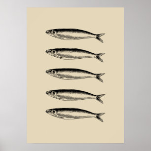 Poster Sardines