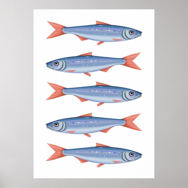 Poster Sardines (Devant)