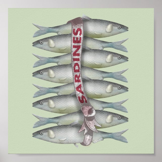 Poster Sardines fraîches (Devant)
