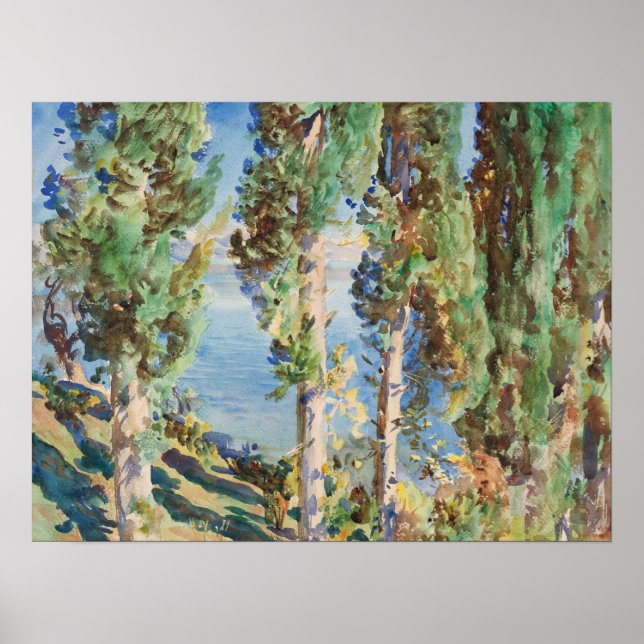 Poster Sargent - Cyprès (Devant)