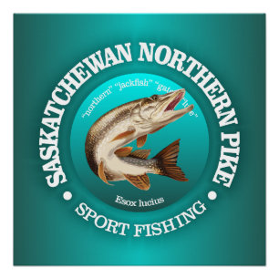 Poster Saskatchewan Pike Fishing