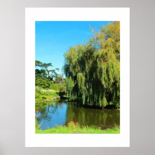 Poster Saule plumant et lac