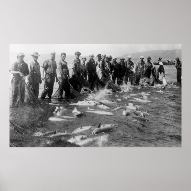 Poster Saumon à l'Astoria, OU photo (Devant)